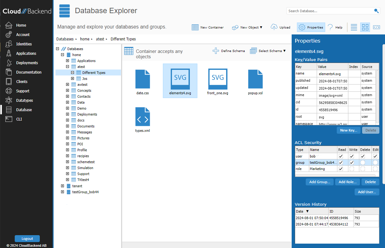 Database Explorer